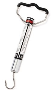 Rapala Mechanical Tube Fish Scale 25lb