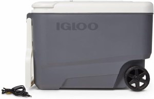 Igloo Versatemp 35 Qt Portable Electric Carbon/White Cooler