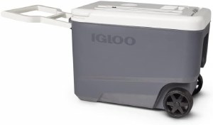 Additional picture of Igloo Versatemp 35 Qt Portable Electric Carbon/White Cooler