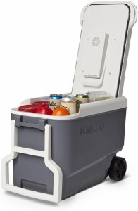 Additional picture of Igloo Versatemp 35 Qt Portable Electric Carbon/White Cooler