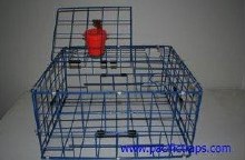 Bron's Pacific 24" Folding Steel Crab Trap with Top Open