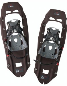 MSR Evo Trail Iron M22 180Ibs