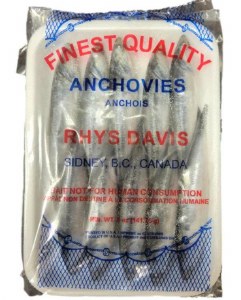 Rhys Davis Anchovies Extra Large 6"