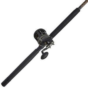 Penn Squall II 30LW Combo 6'6" Med/Hvy 1-Pice Rod
