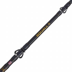 Additional picture of Penn Squall II 30LW Combo 6'6" Med/Hvy 1-Pice Rod