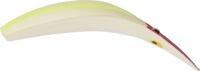 Yakima Bait Flatfish T60 Lumnious Charteuse Treble Hook