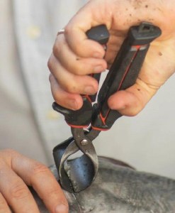 Ugly Stik Fish Skinner Gripping Tool