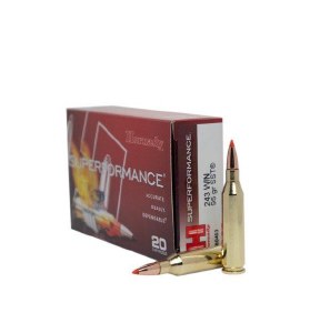 Hornady Superformance 243  Win 95Gr SST