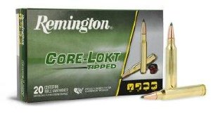 Remington 300 Win Mag 180gr Core-Lokt Tipped