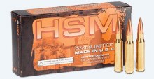 HSM 45-70 Govt 400gr Speer JFN 1800fps