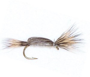 Superfly Dry Fly #10 Tom Thumb