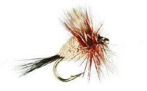 Superfly Dry Fly #12 Adams Irresisitible