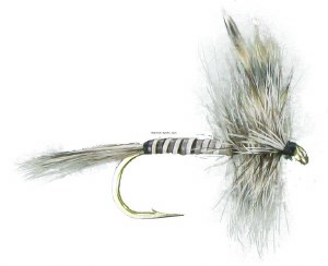 Superfly Dry Fly #14 Mosquito
