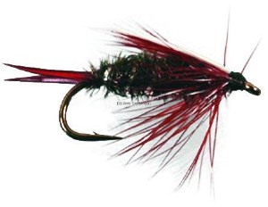 Superfly Nymph #10 prince nymph