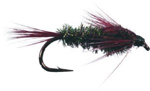 Superfly Nymph #8 Half Back