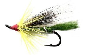 Superfly Salmon Fly #6 Green Cosseboom