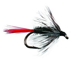 Superfly Wet Fly #10 Grey Hackle Peacock