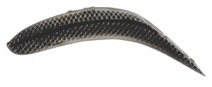 Yakima Bait Flatfish F-5 Metallic Siver Black