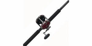 Penn Senator Troll Combo Slammer