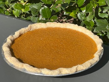 Just in Time Treats - Pumpkin Pie 10in