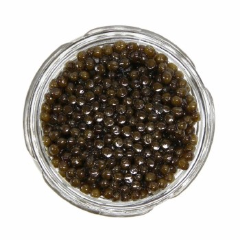 Caviar Star - Royal Amber Kaluga Amber