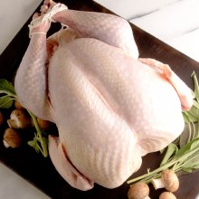 Heritage Black Turkey 16 lb and Down $20.00 is DEPOSIT ONLY