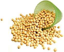 Yellow Vatana  1lbs