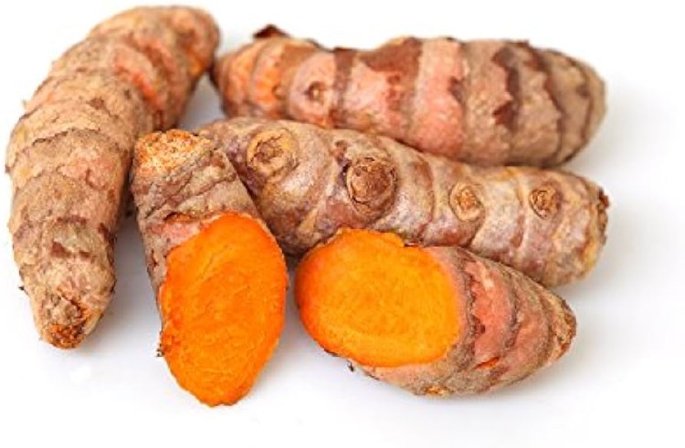 Tumeric Yellow 1lbs