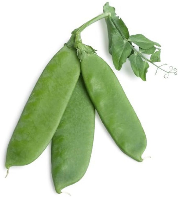 Snow Pea Fresh 1lbs