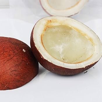 Dry Coconut half 200g