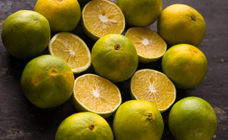 Lemon Citrus