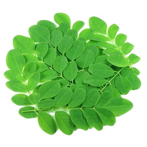 Drumstick Leaves 1lbs