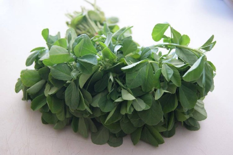 Fenugreek leaves 312g
