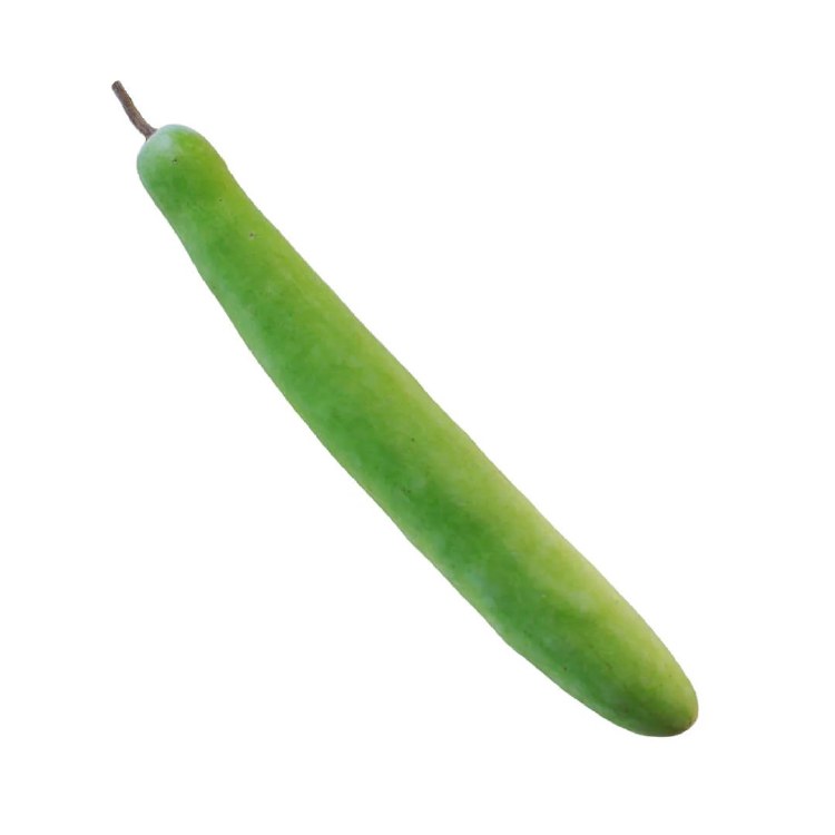 Long Squash Indian 1lbs
