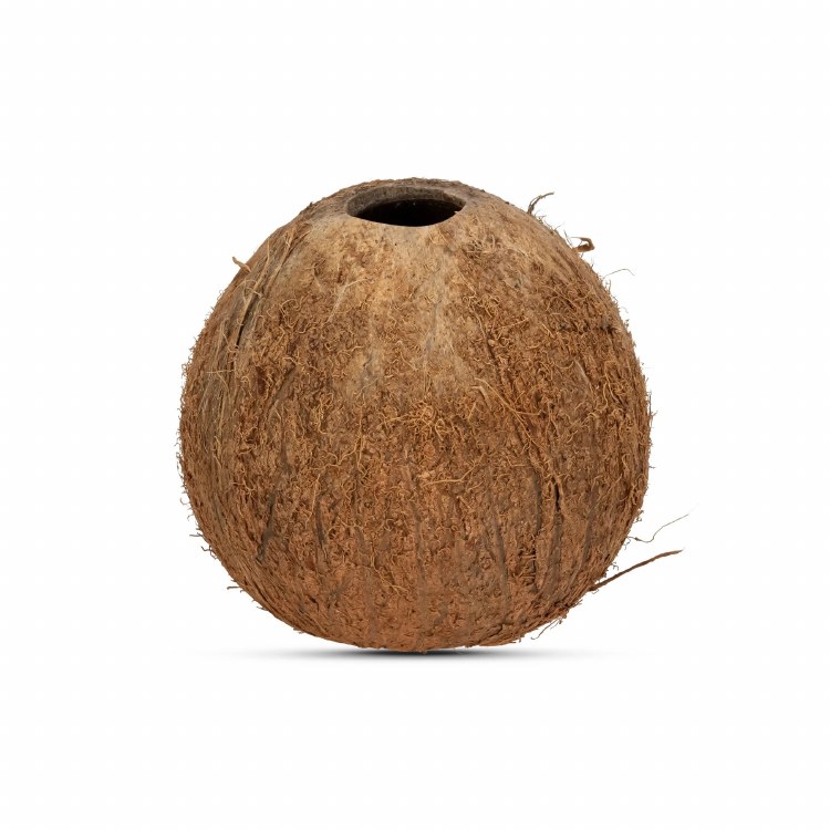 Coconut Whole 1lbs