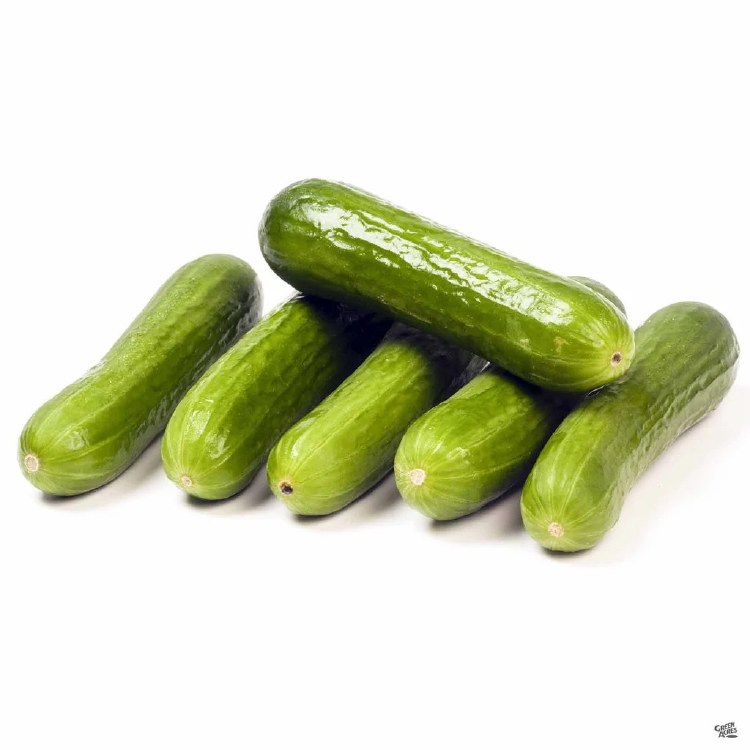 Persian Cucumber 1lbs
