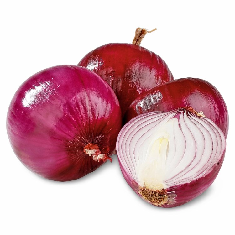 Onion Red Med 1lbs