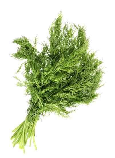 Fennel Leaves 1lbs