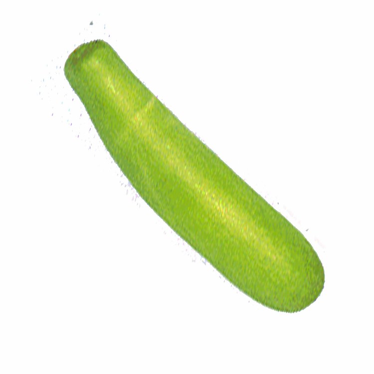 Long Squash 1lbs