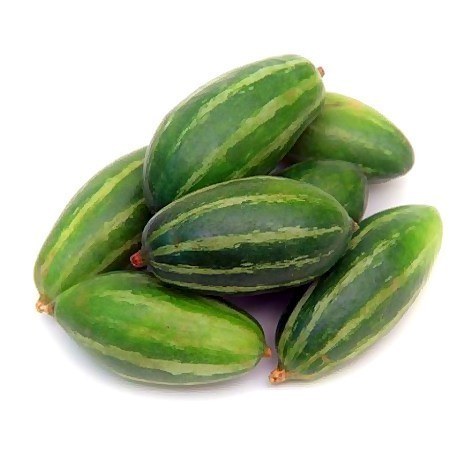 Parval 1lbs