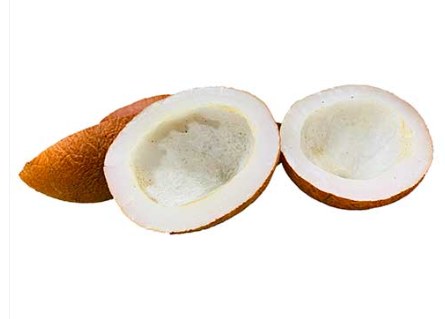 Coconut Half 2 Pcs