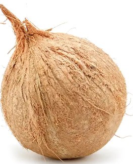 coconut whole big -