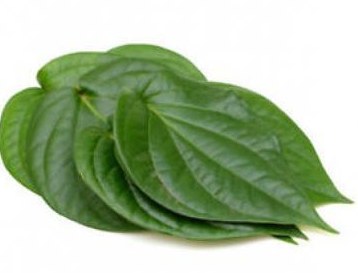 Paan Leaves 4