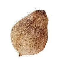 Coconut whole 1 pcs