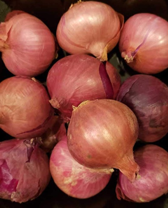 Shallots onion 2 Lb