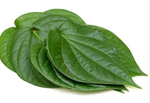 paan leaves  108