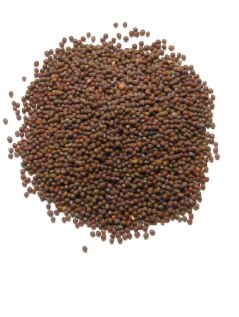 Mustard seed 7oz