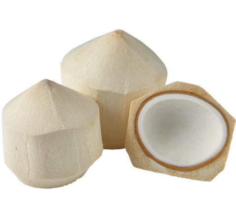 fresh young coconut