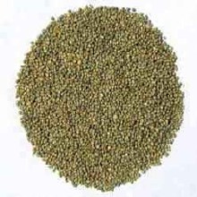 Moong Dal  4lbs