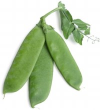 Snow Pea Fresh 1lbs